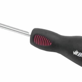 Torx Screwdriver T10