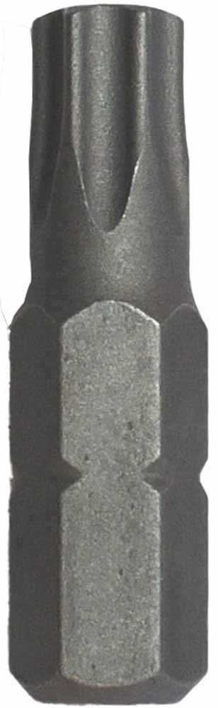 1/4" Torx Tampered Bit T40 x 25L