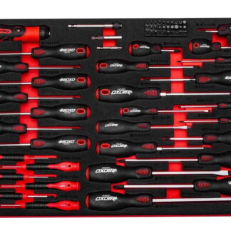 65pC Master ScrewDriver Set In EVA Foam