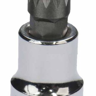 1/2" Spline Bit Socket M12