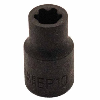3/8" Dr EP10 Socket