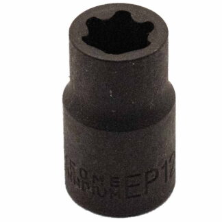 3/8" Dr EP12 Socket