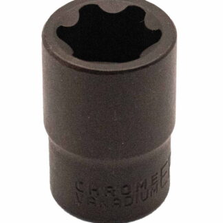 1/2" Dr EP24 Socket