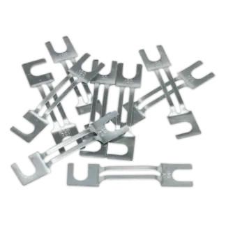 100A Fuse 99 x 20mm, Large - Pack of 10 [120/802131]