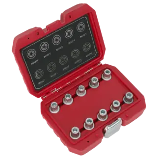 Locking Wheel Nut Key Set for BMW & Mini 10pc [SX208]