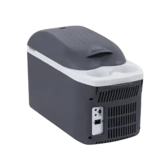Dellonda 8L Portable Cool Box 12V [DL166]