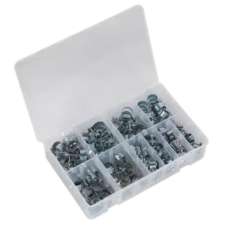 Mini Hose Clip Assortment 100pc [AB042MH]