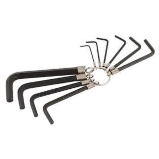Premier Hex Key Set on Ring 10pc [AK6148]