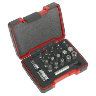 Premier TRX-P* & TRX-TS* Security Bit Set 1/4" & 3/8"Sq Drive 23pc [AK6226]