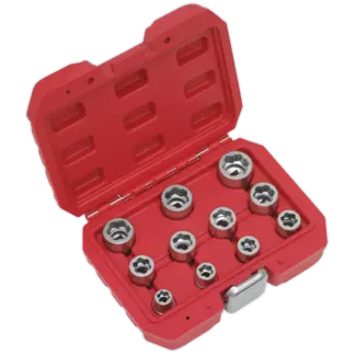 Premier Bolt Extractor Socket Set 3/8"Sq Drive 11pc [AK7281]