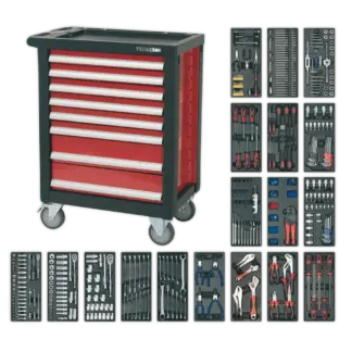 Premier™ Rollcab 8 Drawer with 707pc Tool Kit [AP2408TTC08]