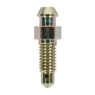 Brake Bleed Screw M6 x 29mm 1mm Pitch - Pack of 10 [BS6129]