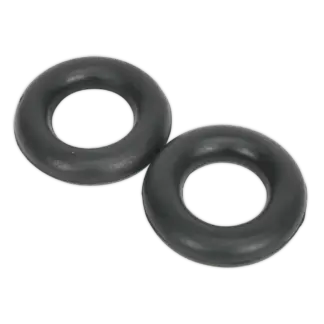 Exhaust Mounting Rubbers - Pack of 2 [EX04]