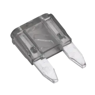 Automotive MINI Blade Fuse 2A - Pack of 50 [MBF250]