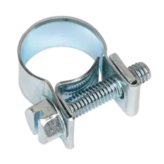Mini Hose Clip 11-13mm - Pack of 30 [MHC1113]