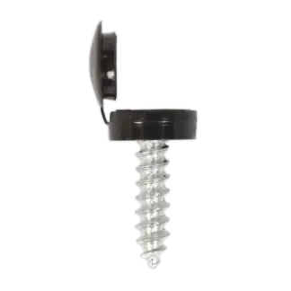 Numberplate Screw with Flip Cap 4.2 x 19mm, Black - Pack of 50 [NPBK50]