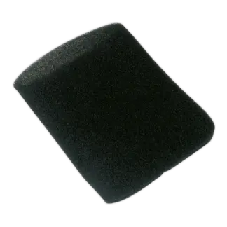 Foam Filter for PC100 [PC100.ACC2]