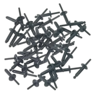 Plastic Rivet 6.3 x 25.2mm - Pack of 50 [PR002]