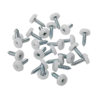 Numberplate Screw with Plastic Enclosed Head 4.8 x 18mm, White - Pack of 50 [PTNP1]