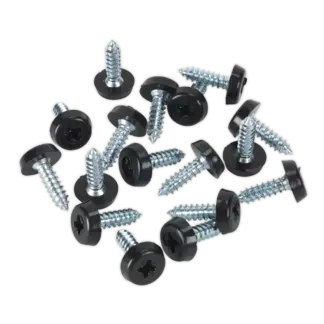 Numberplate Screw with Plastic Enclosed Head 4.8 x 18mm, Black - Pack of 50 [PTNP3]