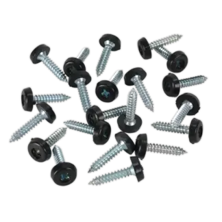 Numberplate Screw with Plastic Enclosed Head 4.8 x 24mm, Black - Pack of 50 [PTNP7]