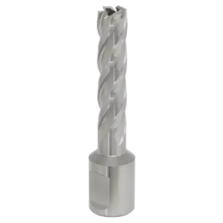Worksafe® 12mm HSS Mag Drill Bit Cut Depth 50mm [RBHSS12L]