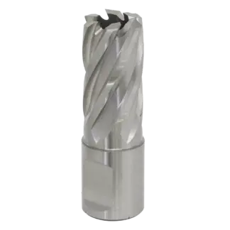 Worksafe® 17mm HSS Mag Drill Bit Cut Depth 25mm [RBHSS17S]