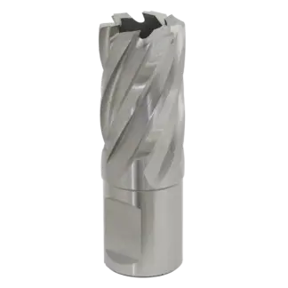 Worksafe® 20mm HSS Mag Drill Bit Cut Depth 25mm [RBHSS20S]