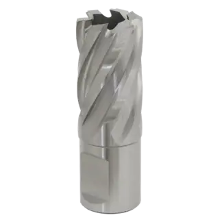 Worksafe® 21mm HSS Mag Drill Bit Cut Depth 25mm [RBHSS21S]