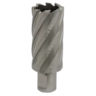 Worksafe® 31mm HSS Mag Drill Bit Cut Depth 50mm [RBHSS31L]