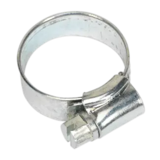 Zinc Plated Hose Clip 16-22mm - Pack of 30 [SHC0]