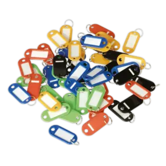 Key Tag Assortment 50pc [SKTAG50]