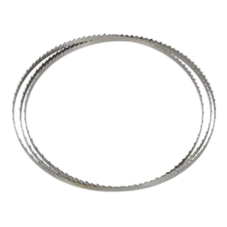 6tpi Bandsaw Blade 1400 x 6.5 x 0.35mm [SM1303B06]