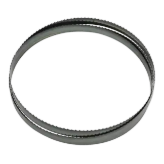 4tpi Skip Tooth Bandsaw Blade 2362 x 19 x 0.81mm [SM35/B04]