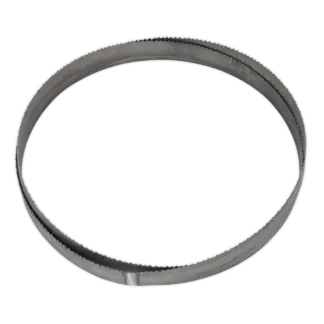 4/6tpi Bi-Metal Bandsaw Blade 3035 x 25 x 0.89mm [SM353CE/085]