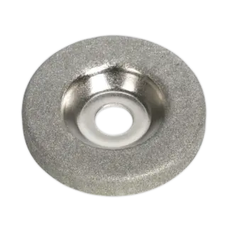 Sharpening Wheel for SMS2004 [SMS2004.06]