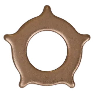 Star Washer for SR2000 - Pack of 10 [SR2000.SW]