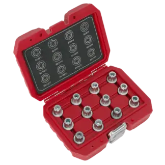 Locking Wheel Nut Key Set for VW 12pc [SX224]