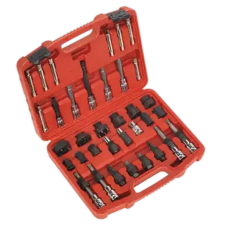 Alternator Freewheel Pulley Removal Set 35pc [SX404]