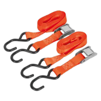 Cam Buckle Strap Polyester Webbing with S-Hooks 25mm x 2.5m 500kg Breaking Strength [TD05025CS]