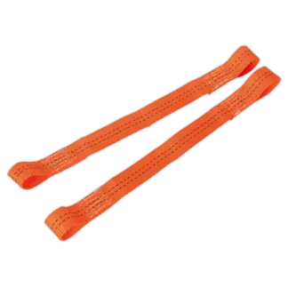 Tie Down Securing Loop - Pair [TDL01]