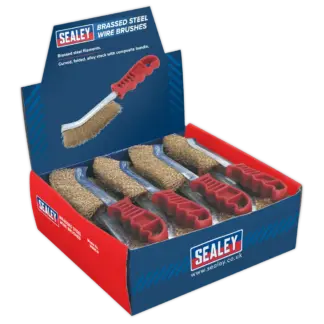 Brassed Steel Wire Brush with Plastic Handle - Display Box of 24 [WB05DB24]