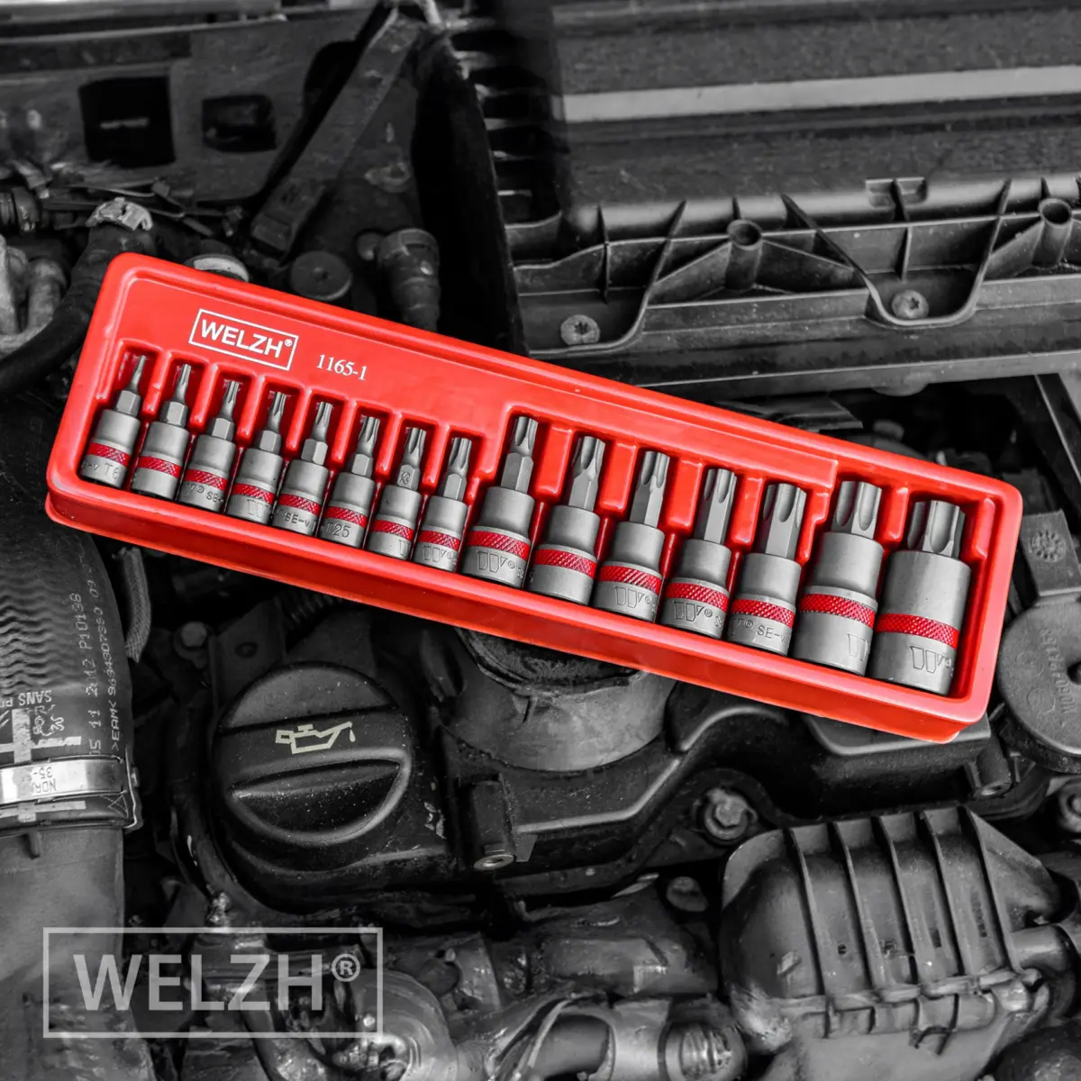 Bit Socket Set, Torx Bits?, SE-V Steel, T6-T70 - Image 5