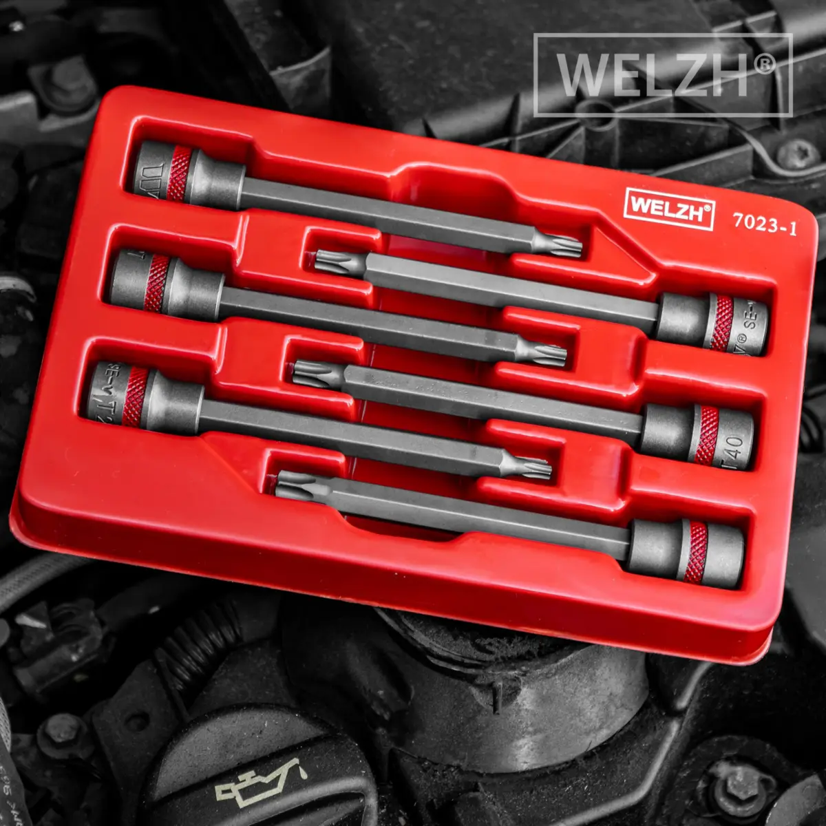 Bit Socket Set; 3/8dr Extra Long Torx Set 110mm T20-T45 - Image 5