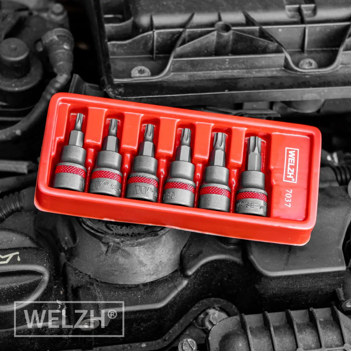 Bit Socket Set; 3/8''dr Torx Set 48mm T20-T45 - Image 5